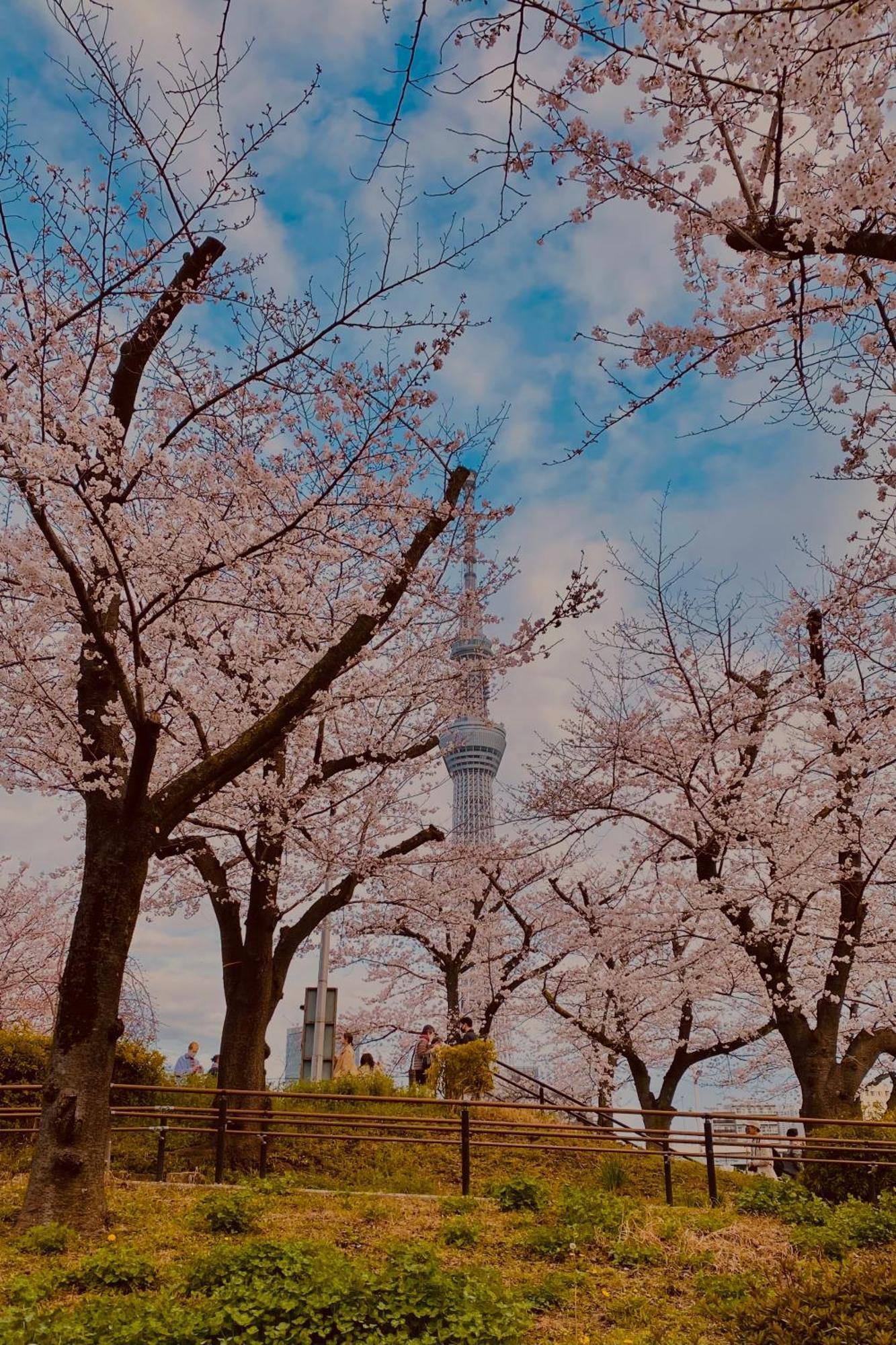 Toe Library Tokyo Asakusa Eksteriør bilde